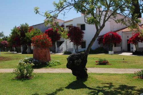 Pedras Del Rei Studio Tavira Exterior photo